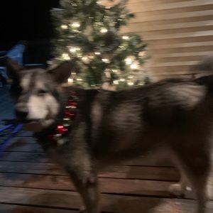 Meet your Posher, Mary lynn